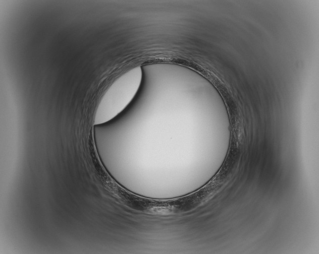 X0000116440595200912081354