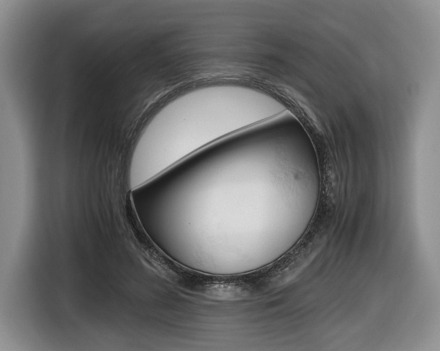 X0000116440596200912081354