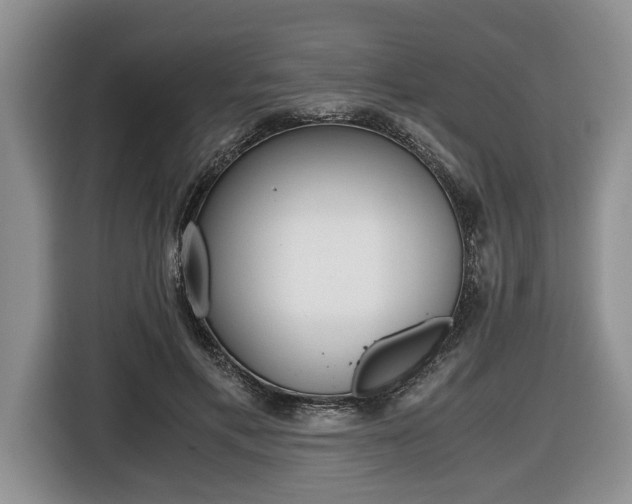 X0000116440597200912081354