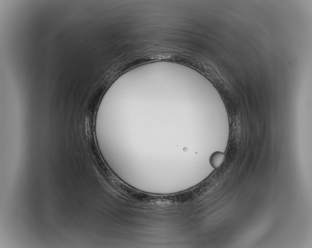 X0000116440598200912081354