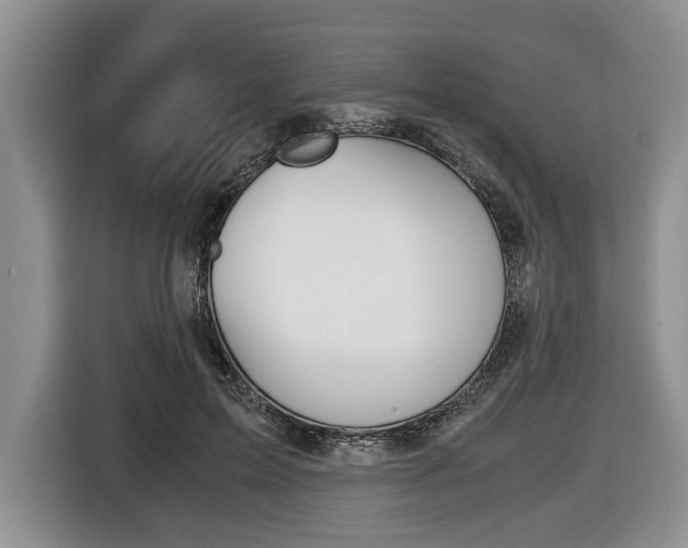 X0000116440599200912081354