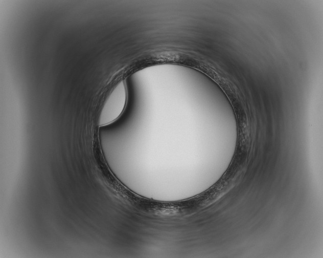 X0000116440600200912081354