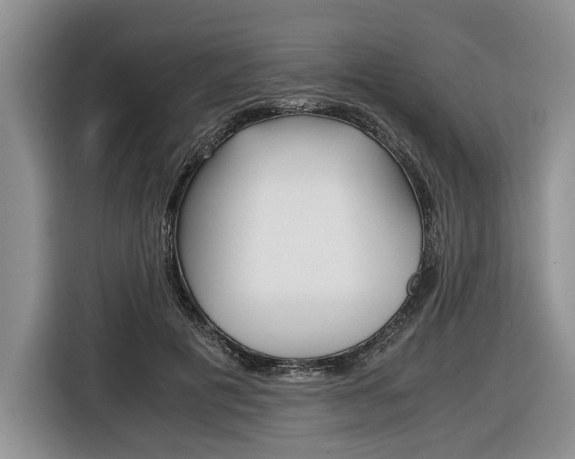 X0000116440601200912081354
