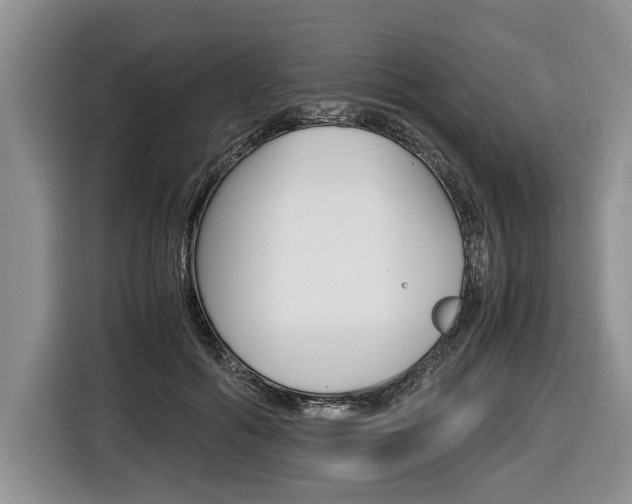 X0000116440602200912081354