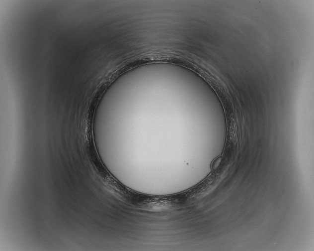 X0000116440604200912081354