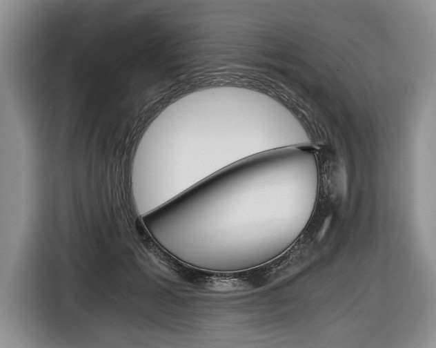 X0000116440605200912081354