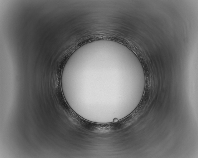 X0000116440606200912081354