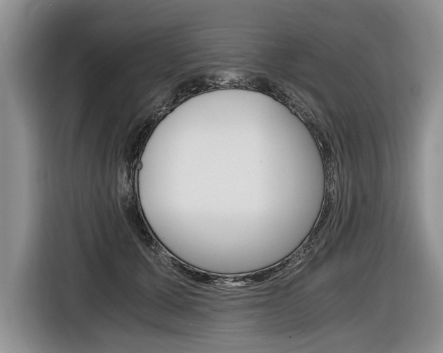 X0000116440607200912081354