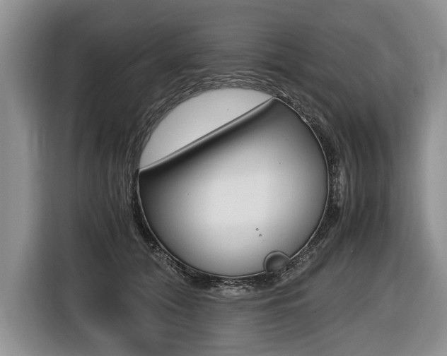 X0000116440608200912081354