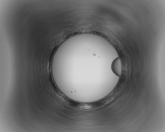 X0000116440610200912081354