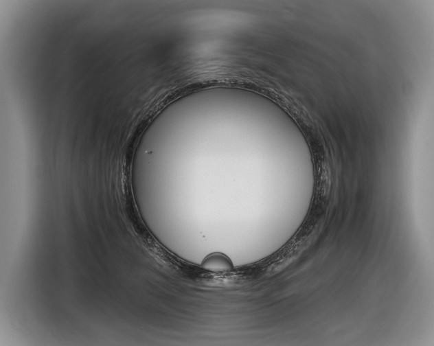 X0000116440612200912081354