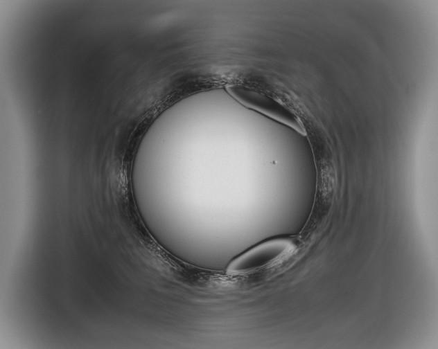 X0000116440613200912081354