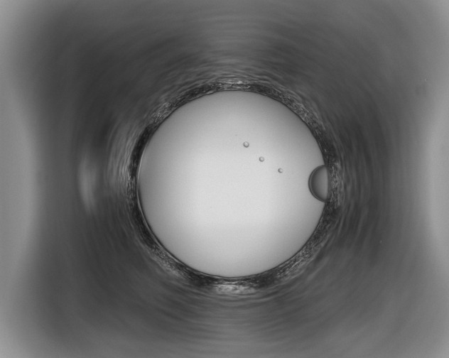 X0000116440614200912081354