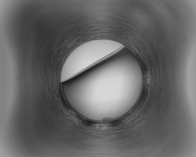 X0000116440615200912081354