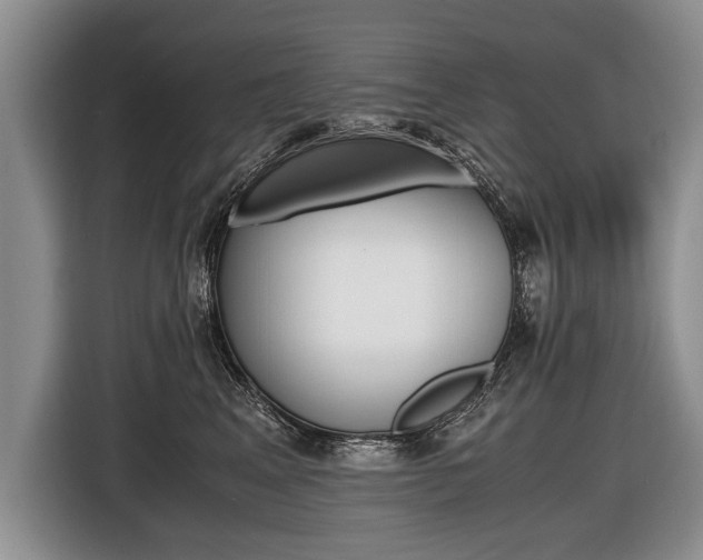 X0000116440617200912081354