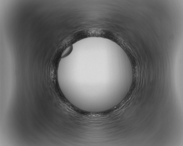 X0000116440619200912081354