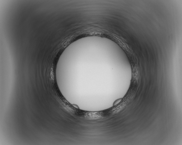 X0000116440622200912081354