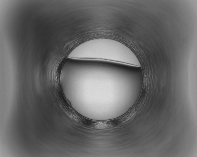 X0000116440623200912081354