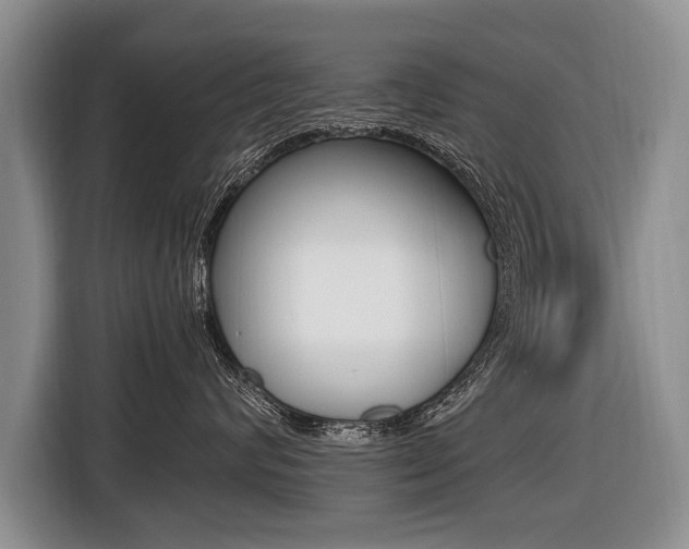 X0000116440624200912081354