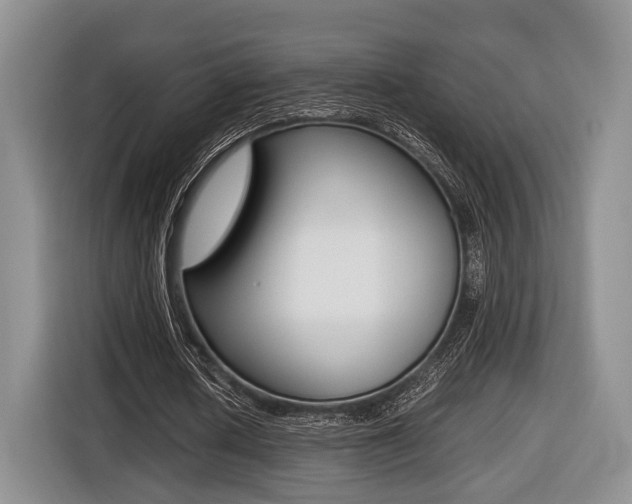 X0000116440626200912081353