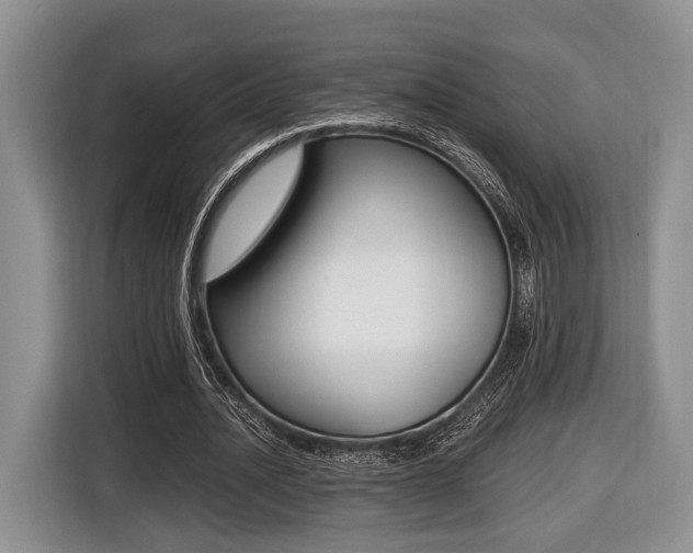 X0000116440628200912081353