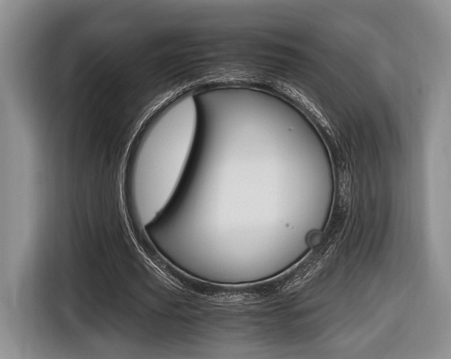 X0000116440629200912081353