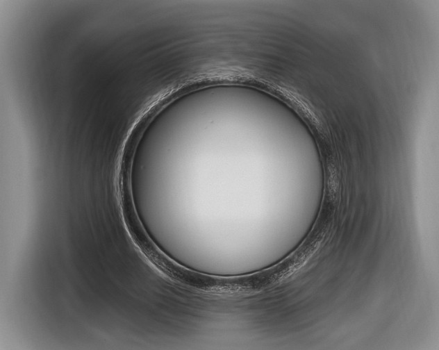 X0000116440630200912081353