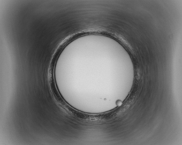 X0000116440632200912081353