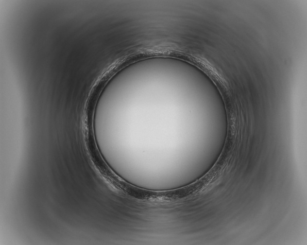 X0000116440634200912081353