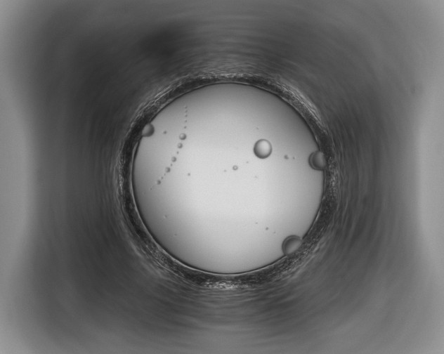 X0000116440635200912081353