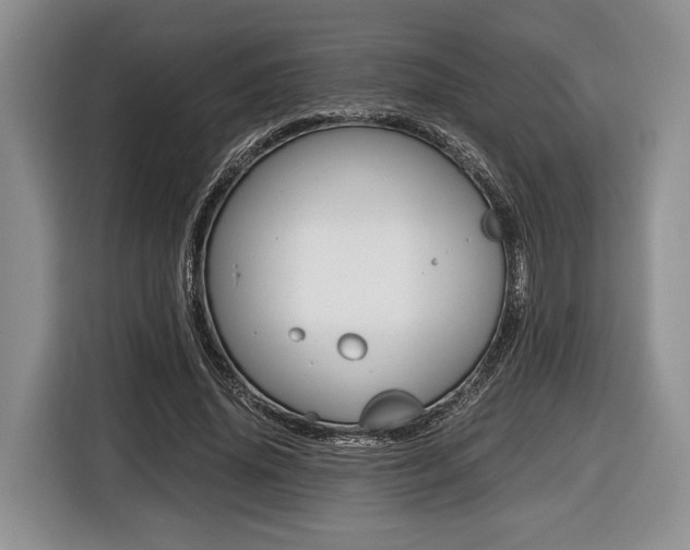 X0000116440636200912081353