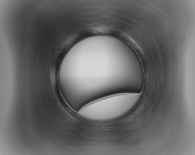 X0000116440637200912081353