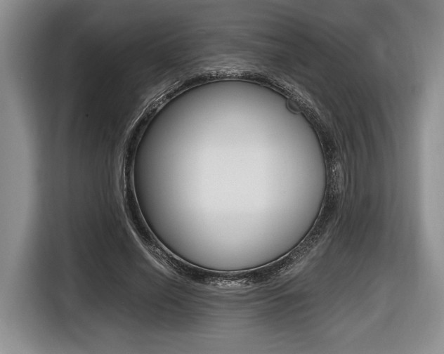 X0000116440638200912081353