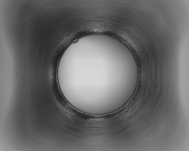 X0000116440639200912081353