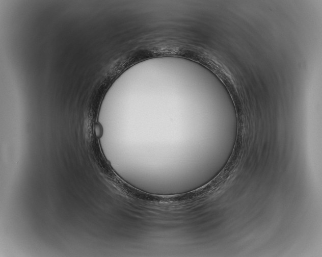 X0000116440641200912081353