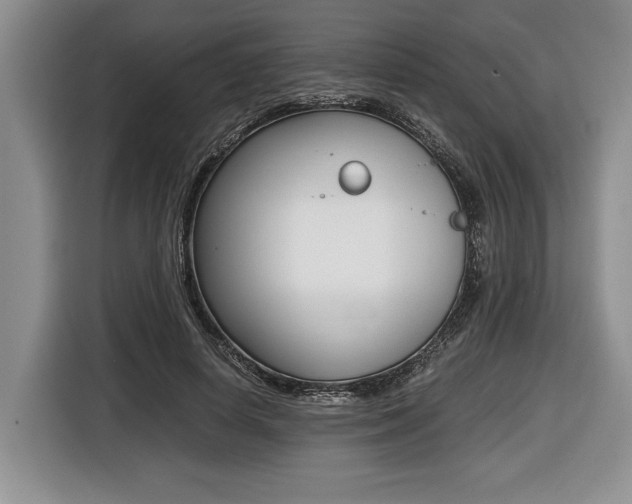 X0000116440642200912081353