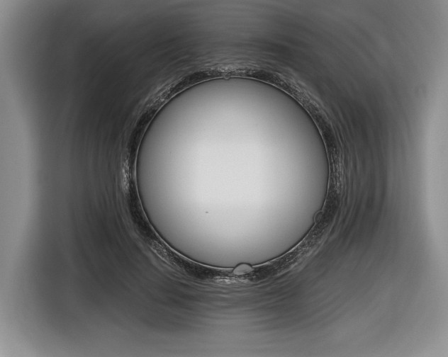 X0000116440644200912081353