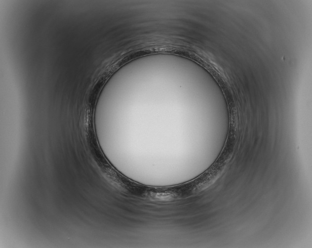 X0000116440645200912081353