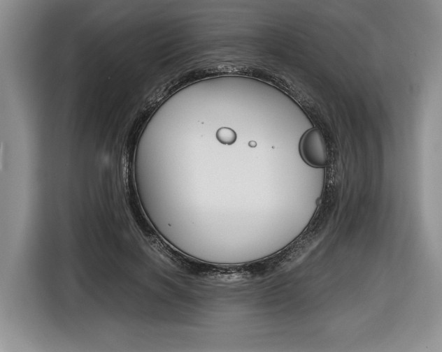 X0000116440646200912081353