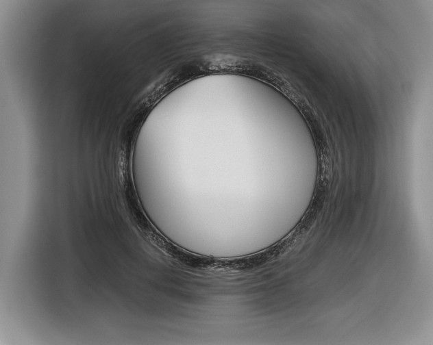 X0000116440648200912081353