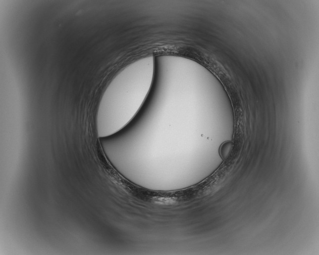 X0000116440649200912081354