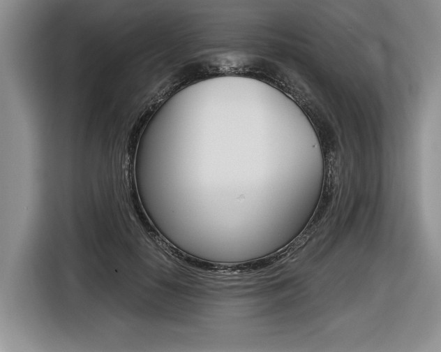 X0000116440650200912081354