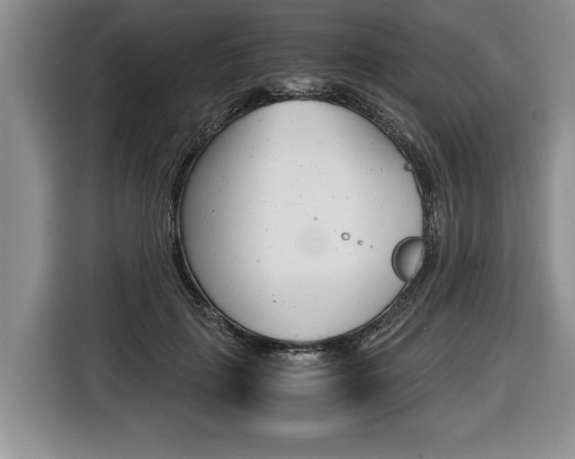 X0000116440651200912081354