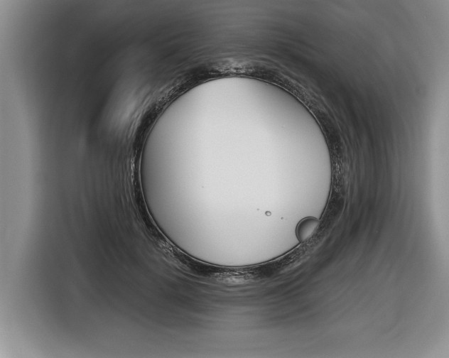 X0000116440652200912081354