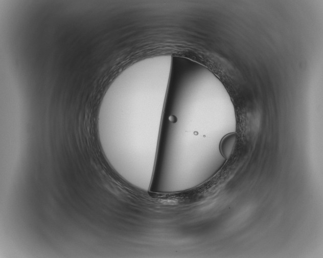 X0000116440653200912081354