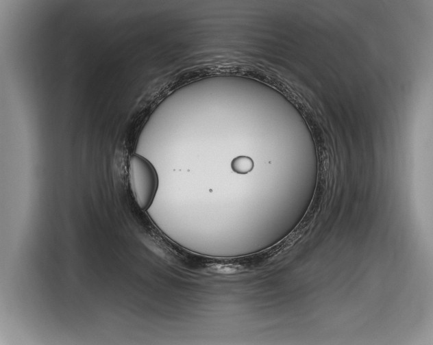 X0000116440654200912081354