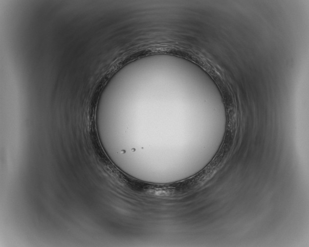 X0000116440655200912081354