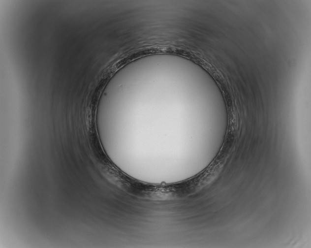 X0000116440656200912081354