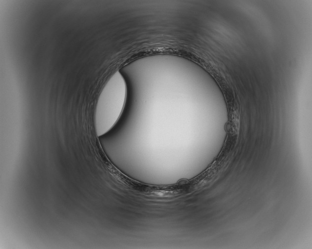 X0000116440657200912081354