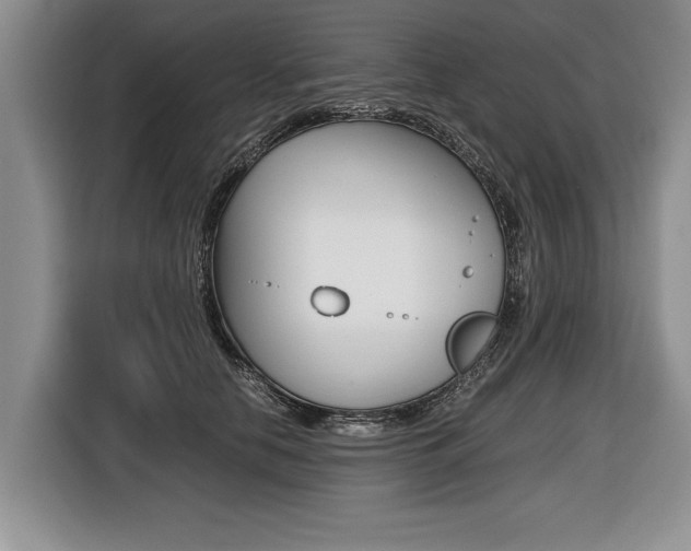 X0000116440658200912081354